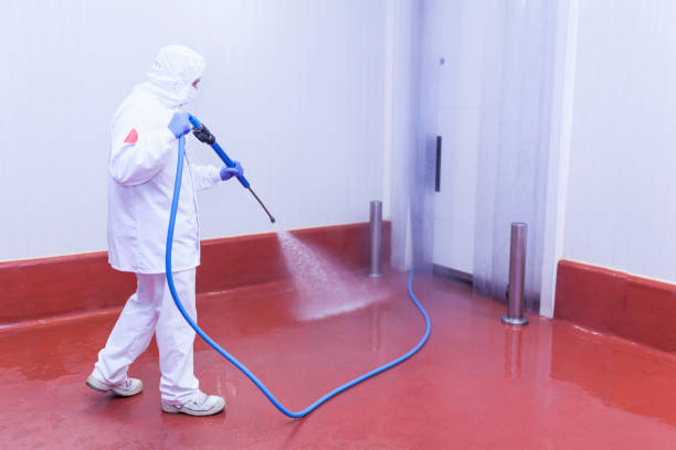 Best Driveway Pressure Washing  in Booneville, MS